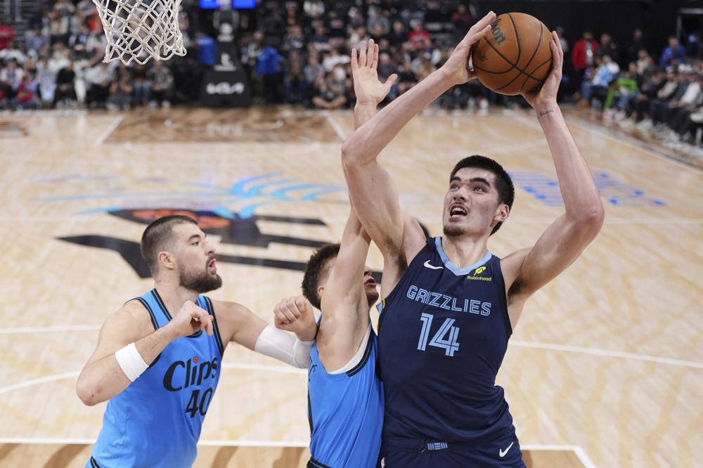 全替代的 全替代的